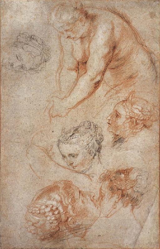 Peter Paul Rubens Woman sketch